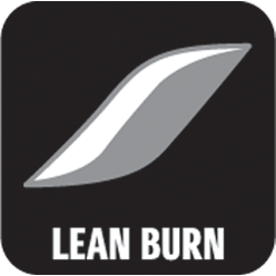 Lean Burn Control Systeem